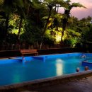 플렌티숲 이미지