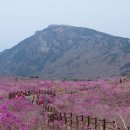 비슬산 이미지