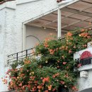 모네의 여름 이미지