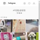 미엘동물병원 이미지