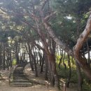 세종대왕태실 주차장 이미지