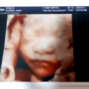 샬롬갈비 이미지