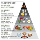 우유 대신 요거트, 견과류는 10알만… ‘노인’ 건강 식사법 이미지