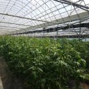 효정농장 이미지