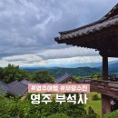 은행나무자동차공업사 | 영주 부석사 은행나무 무량수전 가을 단풍명소 전국유명사찰