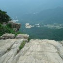 용고개농장 Daum카페