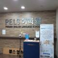 펠스영어학원 - 25183 | 펠스영어학원