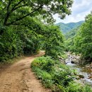문경새재 상징문~문경새재 제2주차장 가로수길 | 국내여행지추천 문경 가볼만한곳, 늦여름 서늘한 문경새재 옛길 트레킹 코스