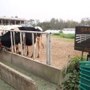 농도원목장 이미지