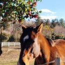 제주세계자연유산센터 세계유산전시관 이미지