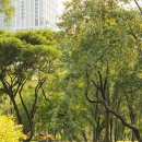 백인의 밥상 | 태국 여행 방콕 미슐랭 빕구르망 맛집, 룸피니 공원 옆 '폴로 프라이드 치킨' 후기