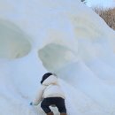 참샘 어린이집 | [로건성장일기 141주] 밀양 참샘허브나라 눈 구경(고양이랑 놀기)｜요구르트에 눈 뜨다