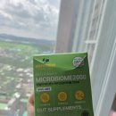 마이프렌드 | 10살 우리 집 고양이, 토로와 토미의 건강 관리 – 비마이프렌드 영양제 후기