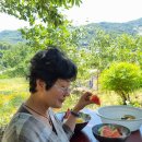 정솔농장 이미지