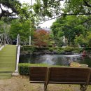 전원1단지어린이공원 이미지