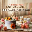 주촌미소약국 티스토리