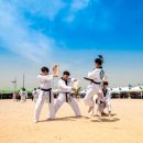 용인대박사태권도 이미지