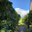 영돌농장 이미지