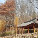 유현문화관광지 이미지