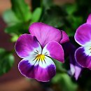 이다움치과의원 | 으드드 갑자기 찾아온 불편함에 저도 깜짝 놀랐잖아요