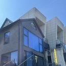 욜로하 스테이 이미지