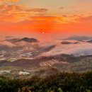 일출물산 이미지