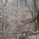 금강산도식후경 이미지