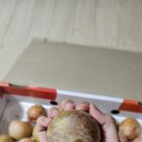 용연농산물