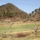 유가솜씨 이미지