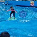 워터파크골프스쿨 이미지