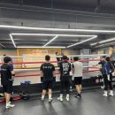 용인대SM복싱클럽 장기점 이미지