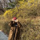 민들레초밥 이미지