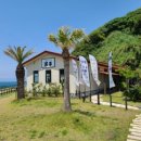 싱싱0202 이미지