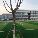 매성중학교 이미지