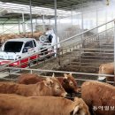 동아농축산 이미지