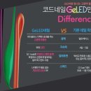 코드네일 이미지