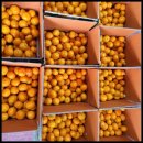 다미농장 이미지