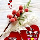 아름다운 금요일 이미지 이미지