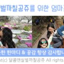 태극안경콘택트(노은점) 이미지