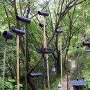 산꾼의집 이미지