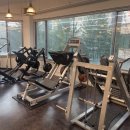 데일리 휘트니스 이미지