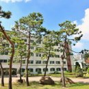 숙명여자고등학교 이미지