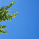 폴바셋 부산대연DT점 | KT달달혜택 폴바셋 50%할인 부산대연DT점 아이스 룽고+라떼 주말보내기