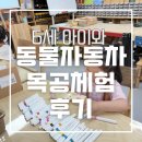 수원 만석공원 목공체험장 후기｜6세 아이와 동물자동차 만들기 (주차,체험비,준비물 정보)
