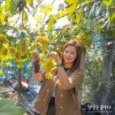 경택농장 이미지