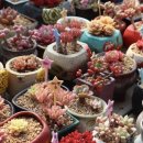 함께하는 농장 이미지