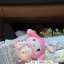 조이킨더미술학원