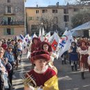 바이올렛 이미지