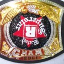 EDGE RATED "R" SUPERSTAR CHAMPIONSHIP BELT 이미지