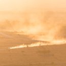 올바른약속치과의원 이미지